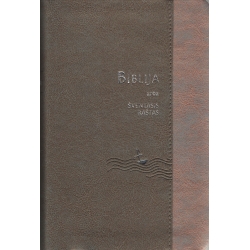 Biblija 14,5 x 22 cm, ekumeninė, lanksčiais viršeliais 2018 m. sidabruota